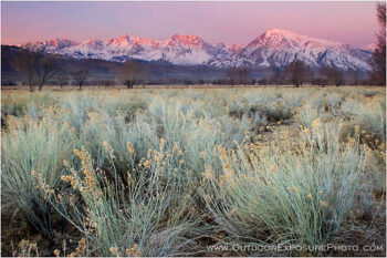 Sierra Mountains Sunrise Stock Image, Owens River Valley, California Sierra Mountains Sunrise Stock Image, Owens River Valley, California