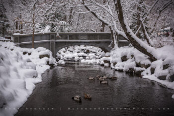 Snowy Downtown Stock Image, Ashland, Oregon Snowy Downtown Stock Image, Ashland, Oregon