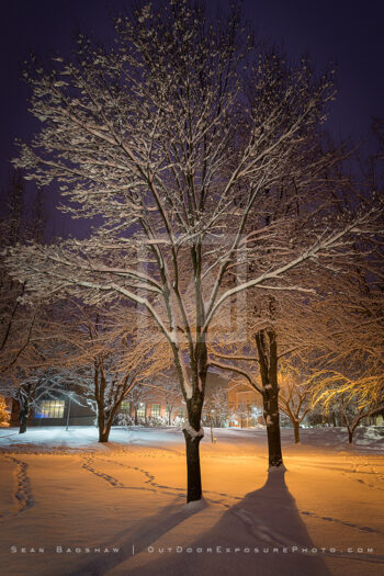 Snowy Downtown 15 Stock Image, Ashland, Oregon Snowy Downtown 15 Stock Image, Ashland, Oregon