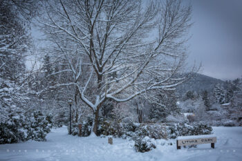 Snowy Downtown 51 Stock Image, Ashland, Oregon Snowy Downtown 51 Stock Image, Ashland, Oregon
