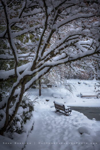 Snowy Downtown 53 Stock Image, Ashland, Oregon Snowy Downtown 53 Stock Image, Ashland, Oregon