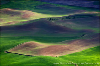 Palouse In Spring II Stock Image, Spokane, Washington Palouse In Spring II Stock Image, Spokane, Washington