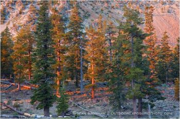 Smoke Filtered Light Stock Image, Shasta, California Smoke Filtered Light Stock Image, Shasta, California