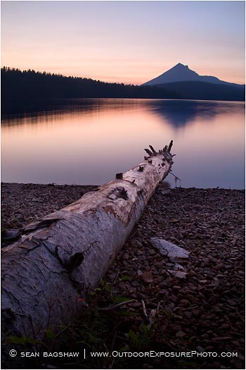 Dead Log Stock Image, lake of the woods, Oregon Dead Log Stock Image, lake of the woods, Oregon