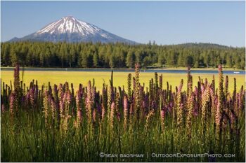 Summer At Howard Prairie Stock Image, Ashland, Oregon Summer At Howard Prairie Stock Image, Ashland, Oregon