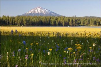 Summer At Howard Prairie 2 Stock Image, Ashland, Oregon Summer At Howard Prairie 2 Stock Image, Ashland, Oregon