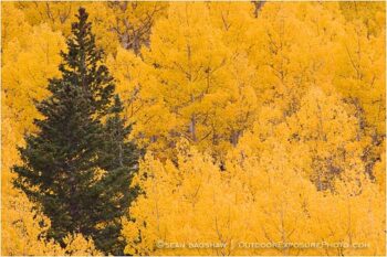 Stand Out Stock Image San Juan Mountains, Colorado Stand Out Stock Image San Juan Mountains, Colorado