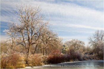 Ice Covered Pond Stock Image, Ashland, Oregon Ice Covered Pond Stock Image, Ashland, Oregon