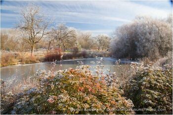 Ice Covered Pond 2 Stock Image Ashland, Oregon Ice Covered Pond 2 Stock Image Ashland, Oregon