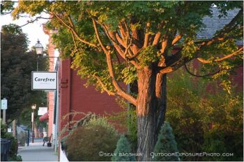 Jacksonville 8 Stock Image Southern Oregon Jacksonville 8 Stock Image Southern Oregon