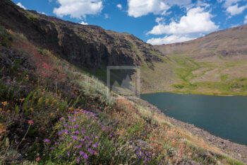 Wildhorse Lake 5 Stock Image, Steens Mountain, Oregon