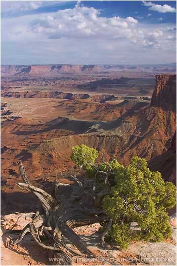 Island in the Sky Stock Image, Canyonlands National Park, Utah Island in the Sky Stock Image, Canyonlands National Park, Utah