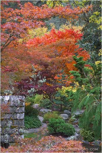 Japanese Garden Fall Stock Image Lithia Park, Ashland, Oregon Japanese Garden Fall Stock Image Lithia Park, Ashland, Oregon