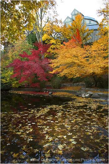 Elizabethan Theater in Fall Stock Image, Ashland, Oregon Elizabethan Theater in Fall Stock Image, Ashland, Oregon