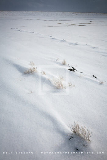 Winter Coat, Hart Mountain, Oregon