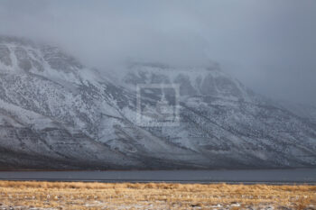 Winter Coat 2, Hart Mountain, Oregon Winter Coat 2, Hart Mountain, Oregon