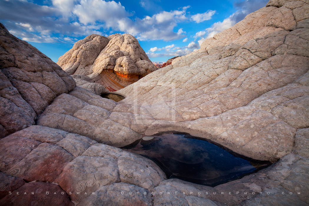 The Water In The Stone Print, White Pocket, Arizona The Water In The Stone Print, White Pocket, Arizona