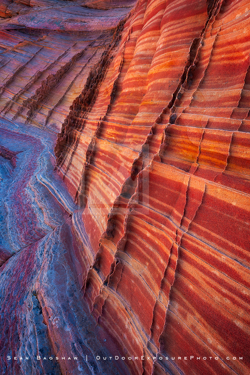 Zebra Wall Print, Coyote Buttes, Arizona Zebra Wall Print, Coyote Buttes, Arizona