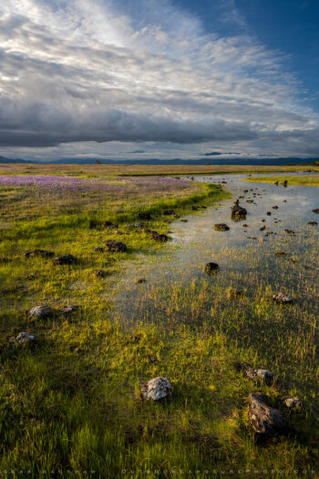 vernal pools stock image, table rocks, rogue valley, oregon vernal pools stock image, table rocks, rogue valley, oregon