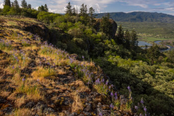 spring from table rocks 3 stock image, rogue valley, oregon spring from table rocks 3 stock image, rogue valley, oregon