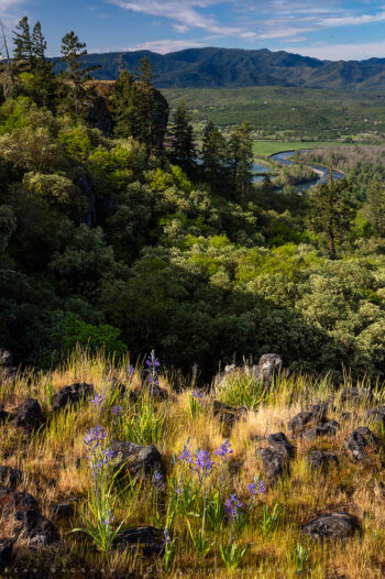 spring from table rocks 4 stock image, rogue valley, oregon spring from table rocks 4 stock image, rogue valley, oregon