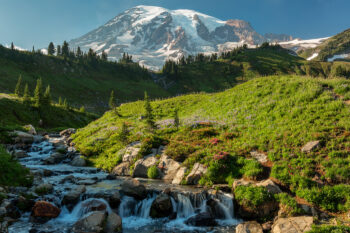 edith creek stock image, mount rainier national park, washington edith creek stock image, mount rainier national park, washington