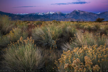 owens river valley stock image, bishop, california owens river valley stock image, bishop, california