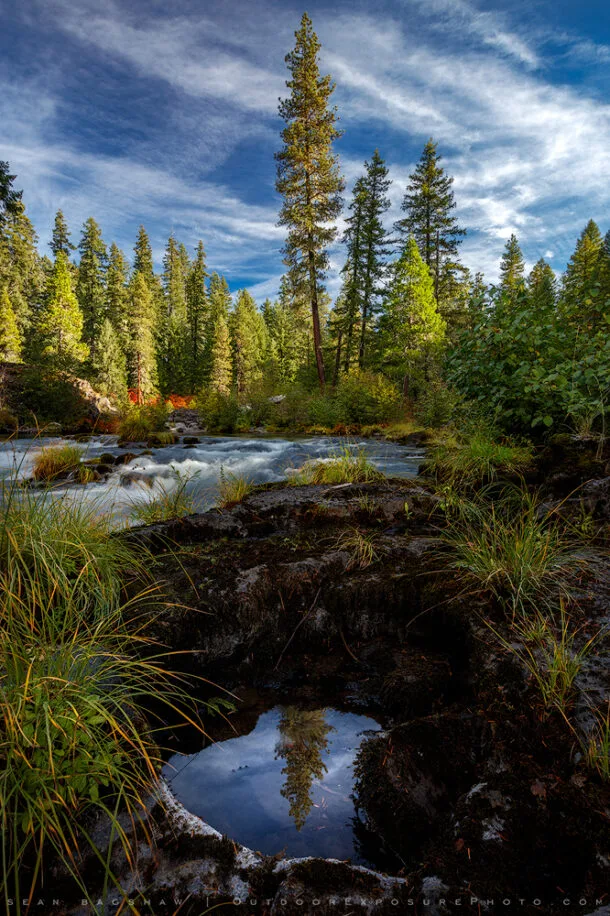 small reflecting pool stock image, the rogue river, oregon - Sean ...