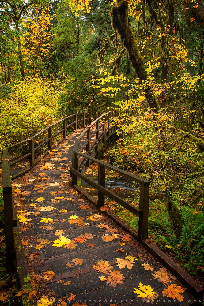 wolf creek stock image, wolf creek, oregon - Sean Bagshaw Outdoor ...