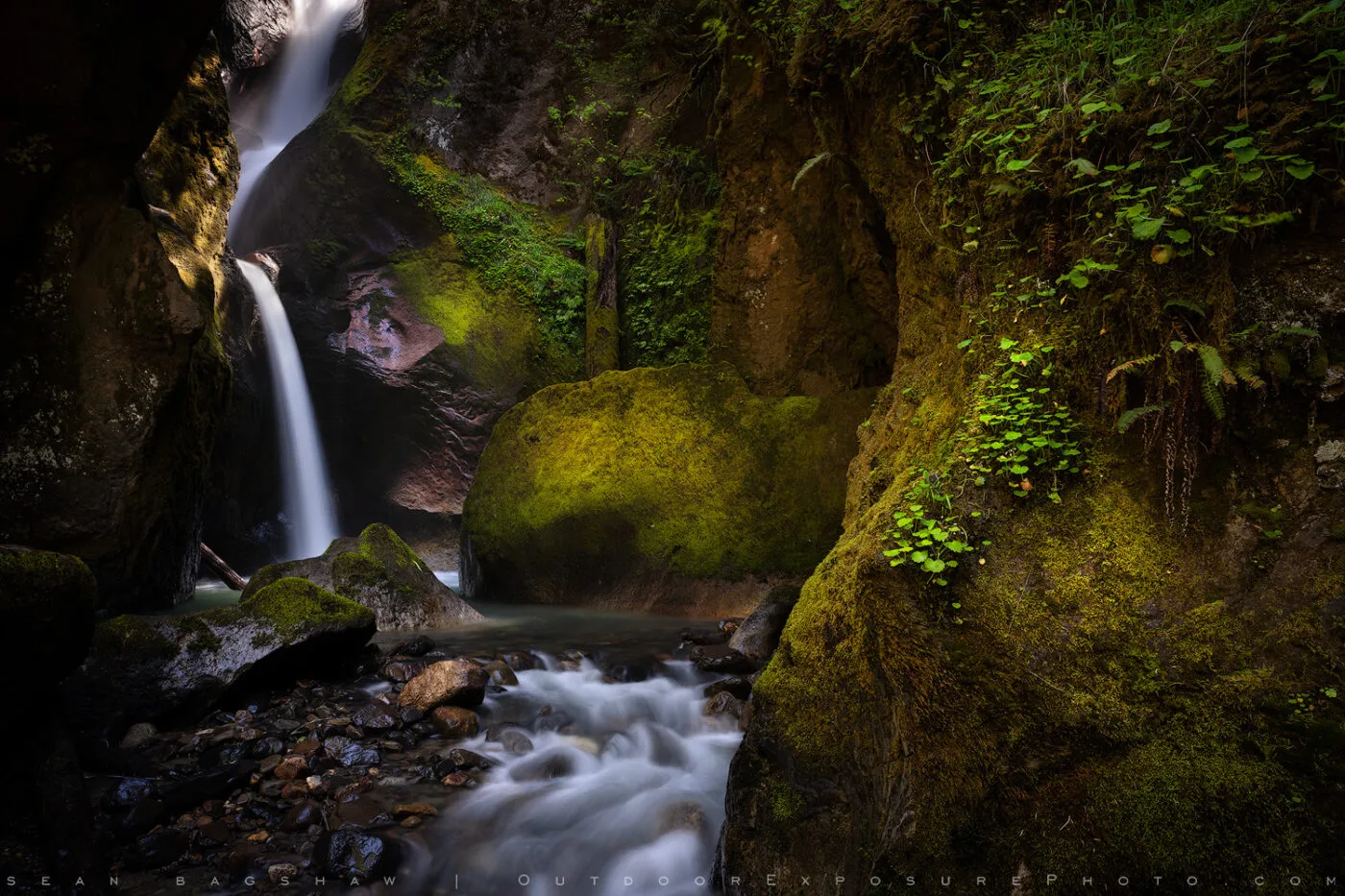 Mossy Grotto Stock Image, Umpqua Watershed, Oregon - Sean Bagshaw ...