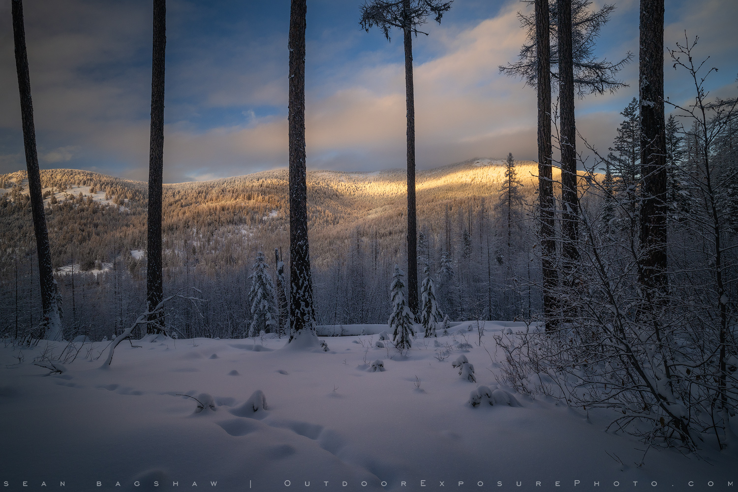 Kettle Mountains in Winter, Washington State, USA Sean Bagshaw