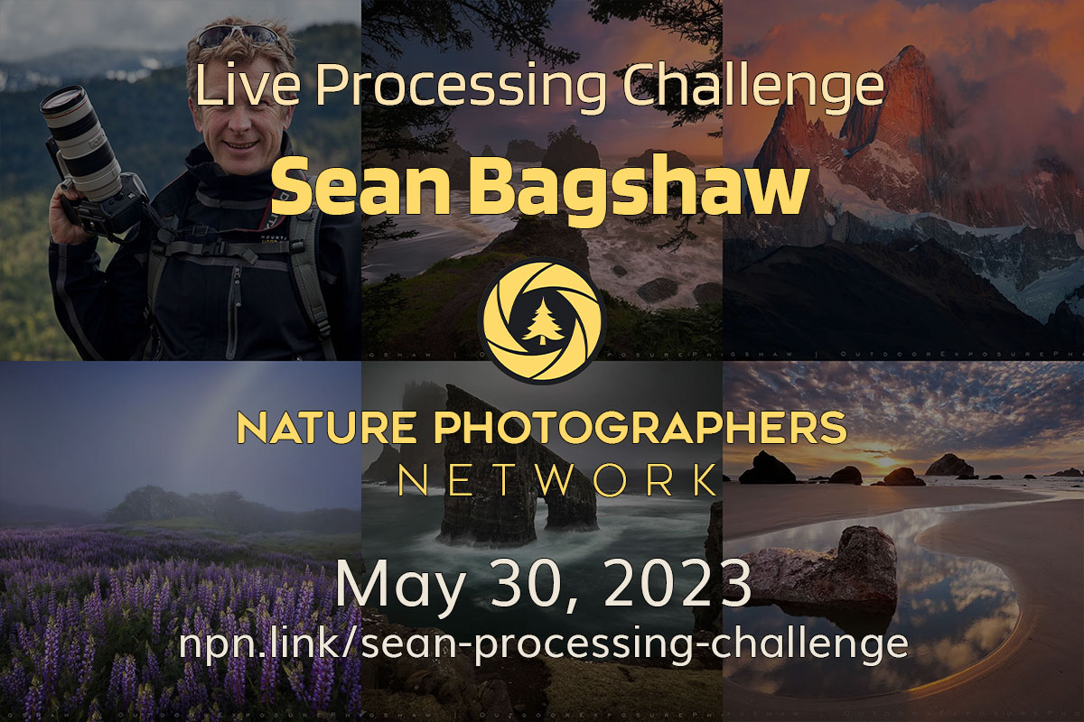 Live Photo Developing Webinar With NaturePhotographers.net Live Photo Developing Webinar With NaturePhotographers.net