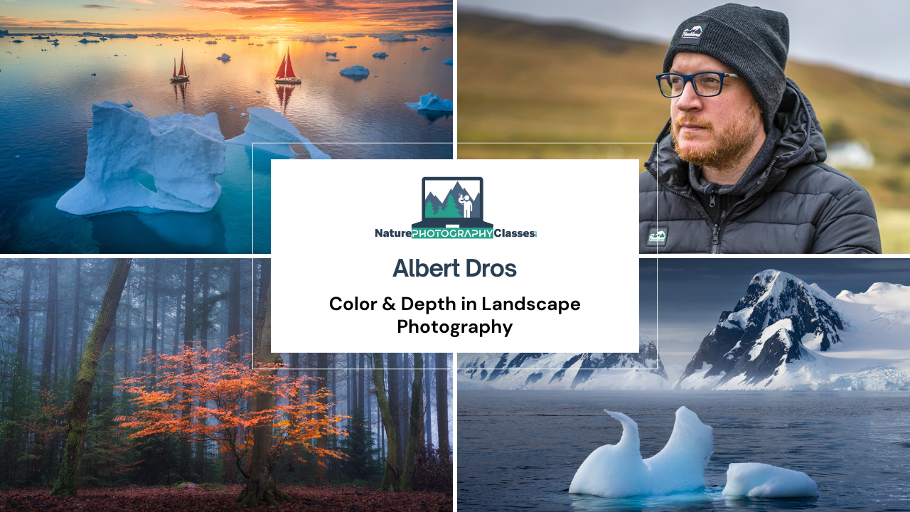 Albert Dros