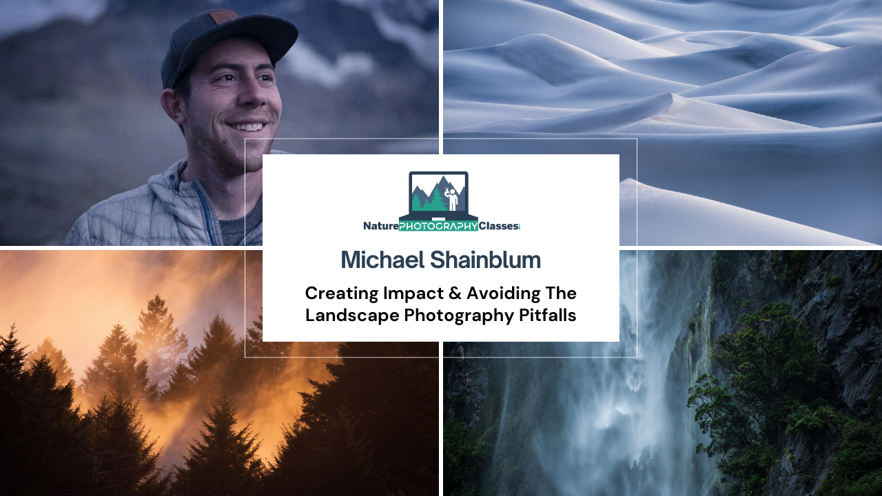 Michael Shainblum