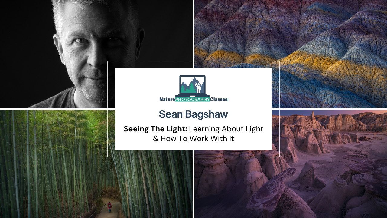 Sean Bagshaw